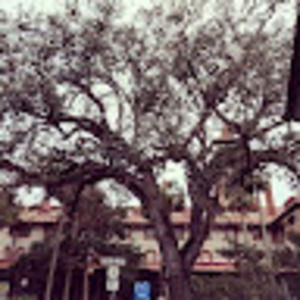 Meet your Posher, Dekoda